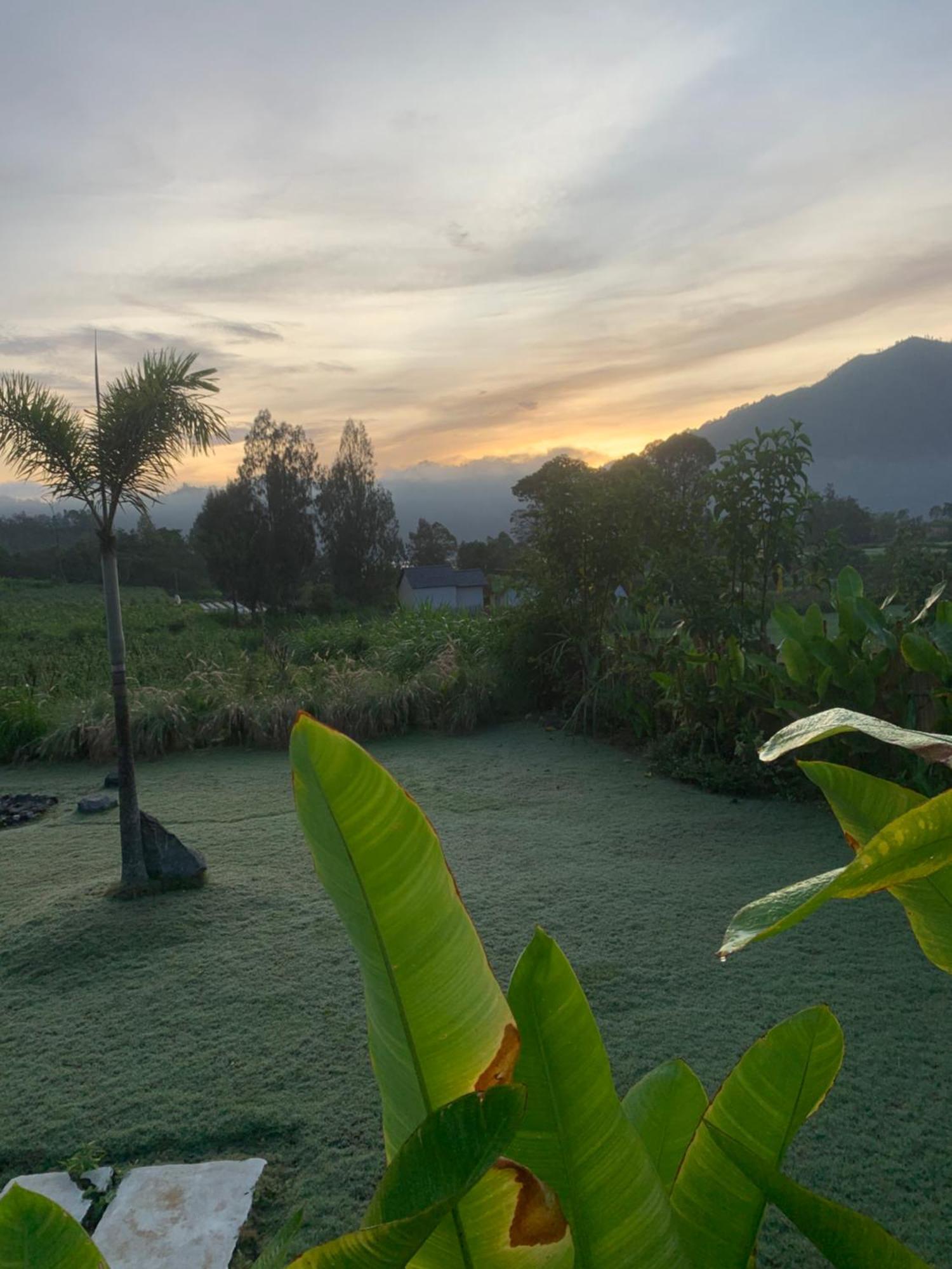 Bali Lesung Hotel Kintamani Eksteriør billede